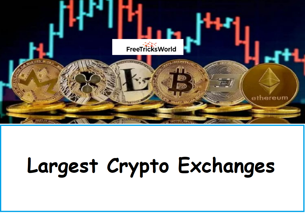 Largest Crypto Exchanges Today in 2024